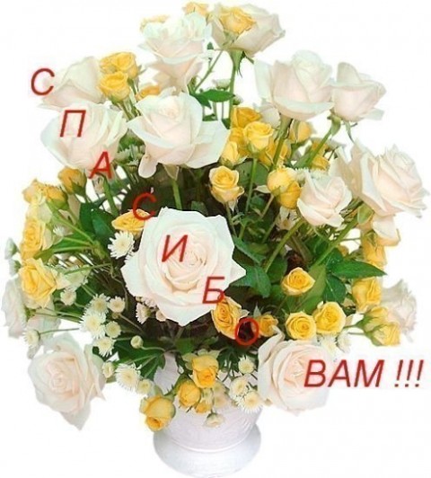 88303961_Spasibo_Vam.jpg